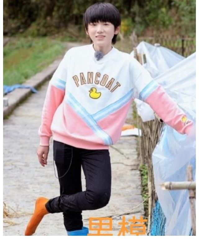 台风少年行|时代少年团要出“养猪综艺2.0”？真假有迹可循！