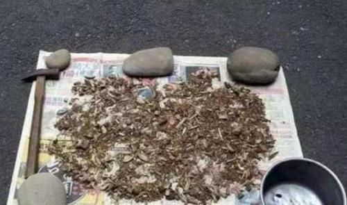  花肥|用鸡蛋壳自制花肥，多加这1步，肥效翻倍，推荐！