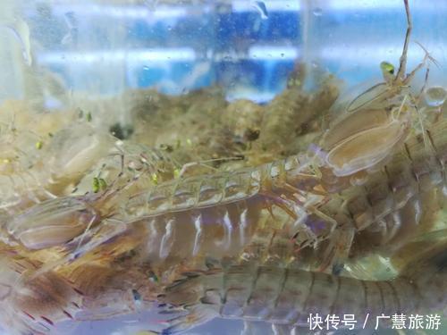 日照美食是海鲜,外地游客来日照建议品尝海鲜,避免被宰有心得