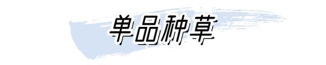 衬衫 + 短靴，秋天这么穿又A又撩！