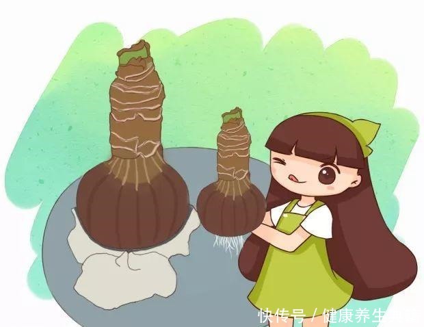 养花不生根赶紧塞团卫生纸,大白根蹭蹭冒!养花不生根赶紧塞团卫生纸,大白根蹭蹭冒!