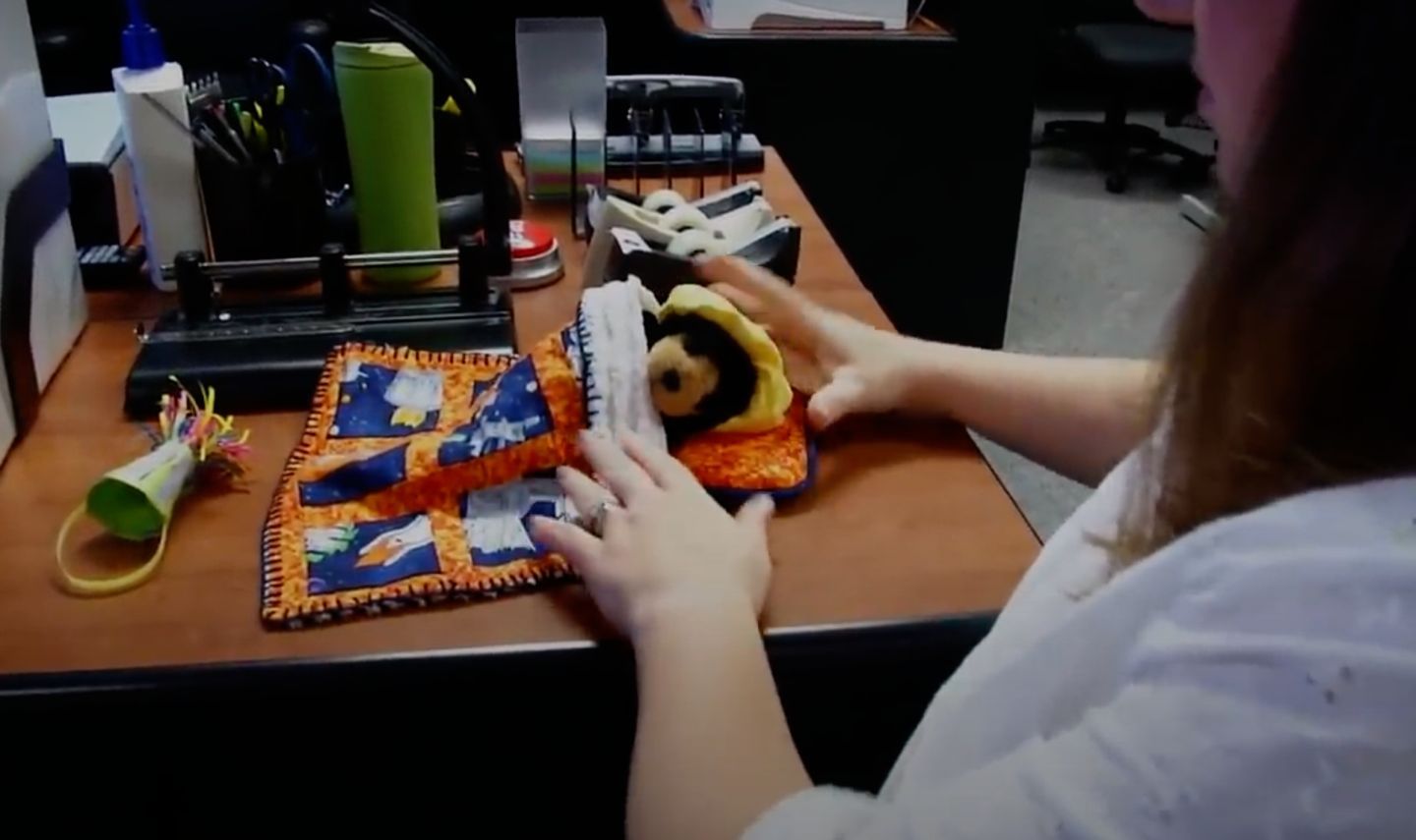 深空探测器飞行过程中都在干什么？