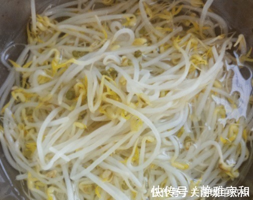 可口|炒豆芽时,豆芽不要直接下锅炒,学会这一招,豆芽出锅清脆可口!