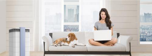 方法|目前最有效的除甲醛的方法自己除甲醛最有效方法