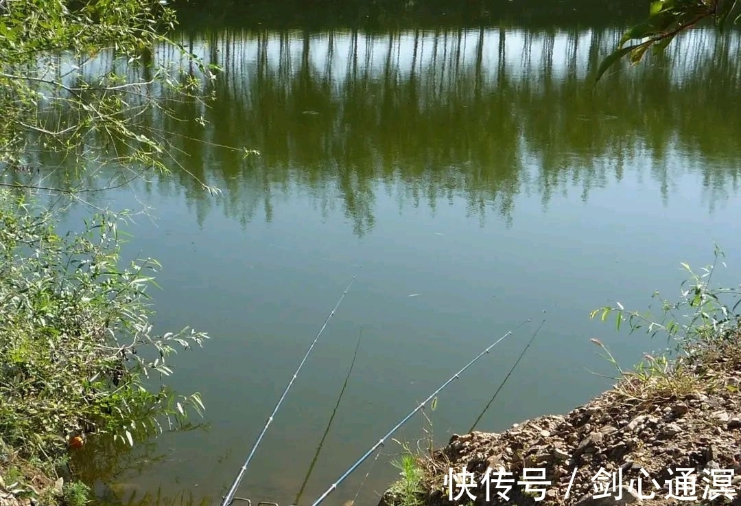 20年钓痴分享,冬季鲤鱼绝杀钓法,冬钓找对方法钓鲤鱼并不难