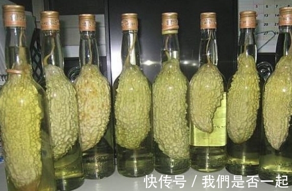 家人|女子这样种苦瓜,被家人指责浪费,摘苦瓜时,家人直呼:太聪明!