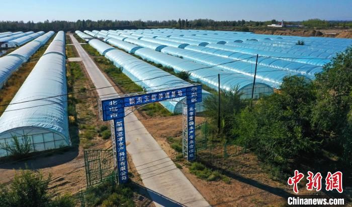 易游娱乐城- YY易游体育官方网站- 易游体育APP小村办起畜牧养殖合作社