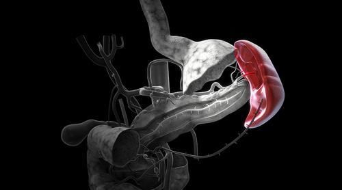 心、肝、脾、胃、腎，五臟如何調養，學會受益一生