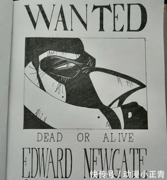 悬赏金额|海贼王:新版悬赏公布令!白胡子实力打脸大妈,女帝悬赏翻了四倍