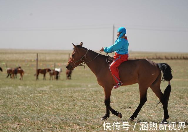 马鞍|自驾新疆行绕道锡林郭勒，滞留苏尼特那达慕，却被执着志愿者感动