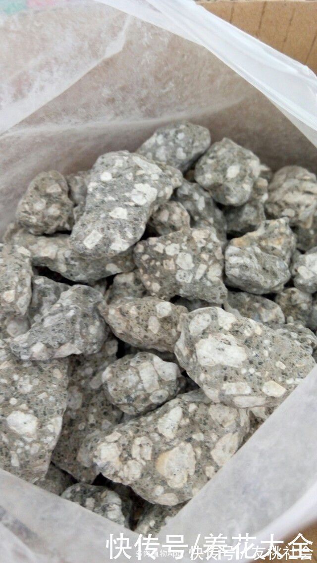 养花土里加上这5种颗粒,透气透水效果好,养花再也不烂根