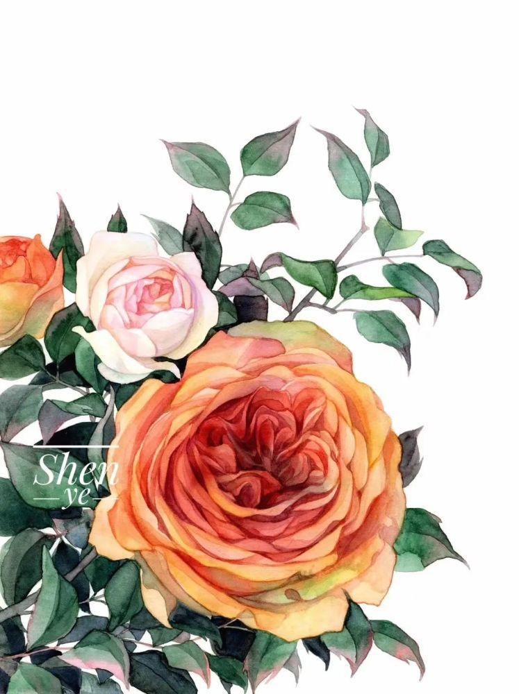  沈晔|她画出古风梦幻的水彩人物，融化了10万粉丝的心，这样的人也太温柔了！