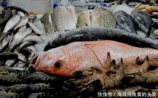 迪拜到底有多土豪?逛一圈当地菜市场就知道了,贫穷限制想象!