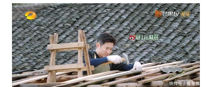 一季 太有梗,杨紫张艺兴贡献《向往》名场面,这一季的嘉宾真的找对了