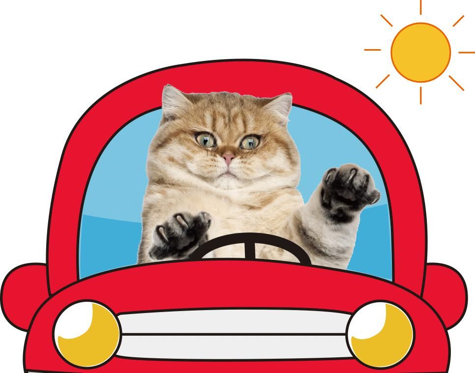 打卡|艺术工坊涂鸦墙上!新!了!!你打卡了吗?