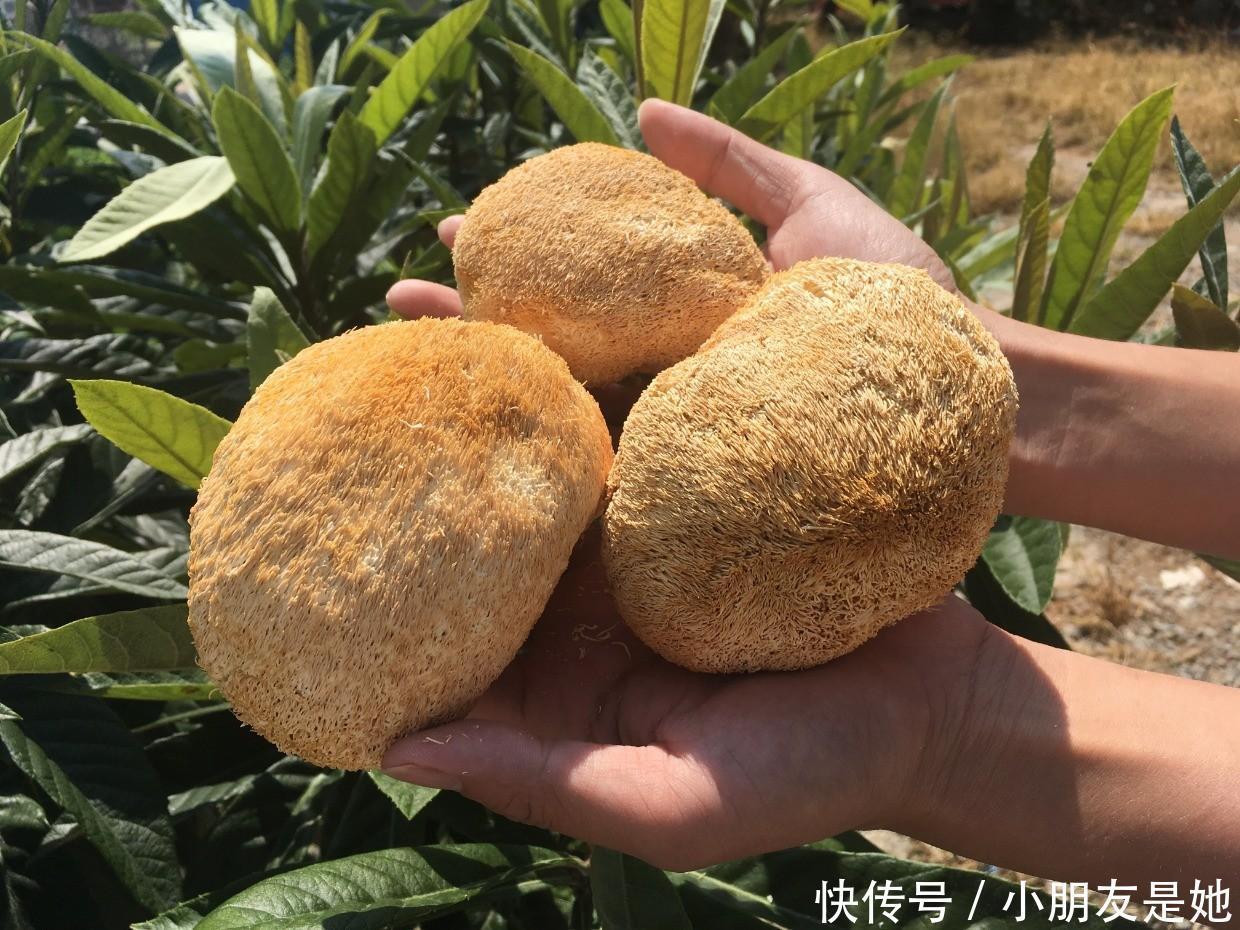 一种零嘴,会偷偷阻碍孩子的身高,儿科提醒:18岁以前少吃