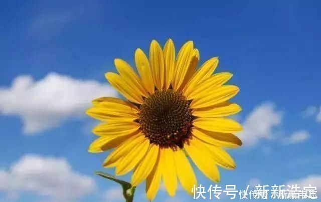 心静|为什么很多老人挺过了70岁，就容易长寿呢答案其实很简单