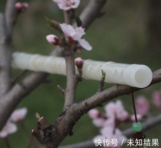 老者|(故事)大唐奇闻:王孙弄笛江上遇奇人