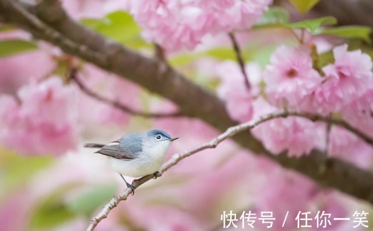 六十四卦#《易经》推天道明人事，中国哲学精华，卦名和卦序已见端倪