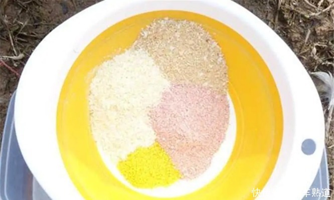 春夏之交,鱼难钓,改变策略就可以提高渔获