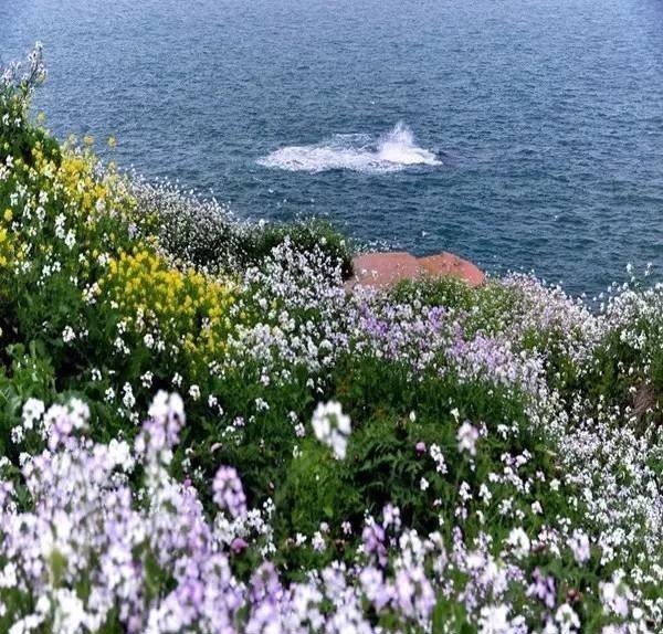 曾国藩诗10首：倚天照海花无数，流水高山心自知