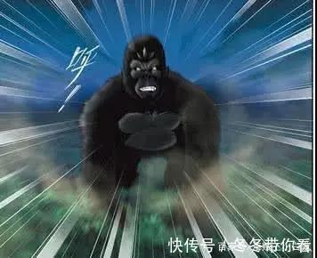 比比东|斗罗大陆:斗罗大陆中最稀少的五种魂兽,整片大陆仅有一只