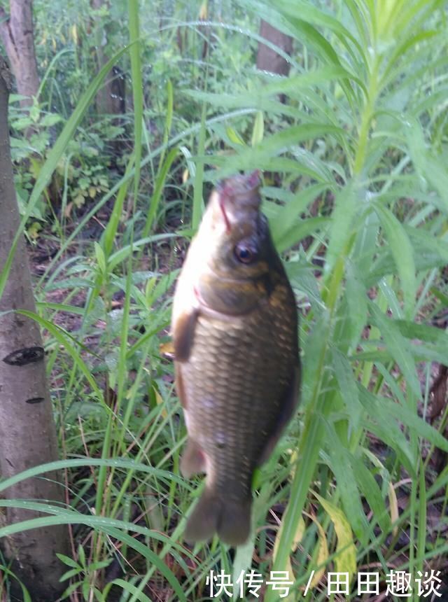 野钓小技巧浮漂做一个小改动,惊鱼几率大降