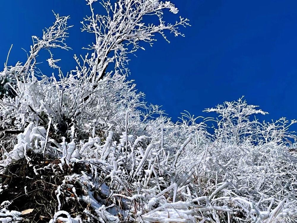 西藏|冬天的雪是上帝写给人间的诗