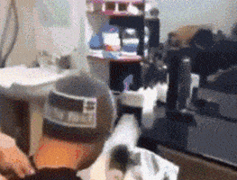 |搞笑GIF:三个老板看一个员工干活,这名员工辞职的心都有了