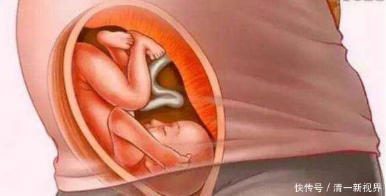 体重|宝宝是怎么被慢慢孕育出来的,十张过程图,一切来之不易