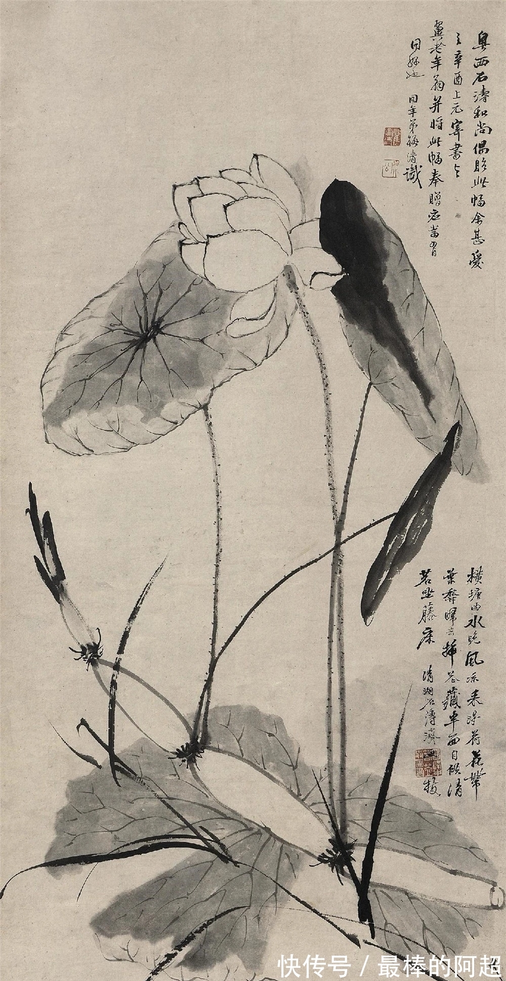 文人画|从石涛、黄宾虹谈中国画的笔墨精神