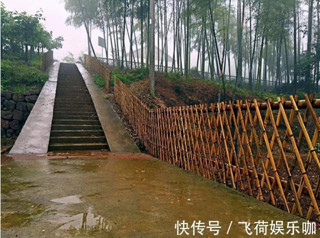 开裂|农村打地坪，水泥里为何放竹子不加钢筋？不烂吗？老师傅说很常见