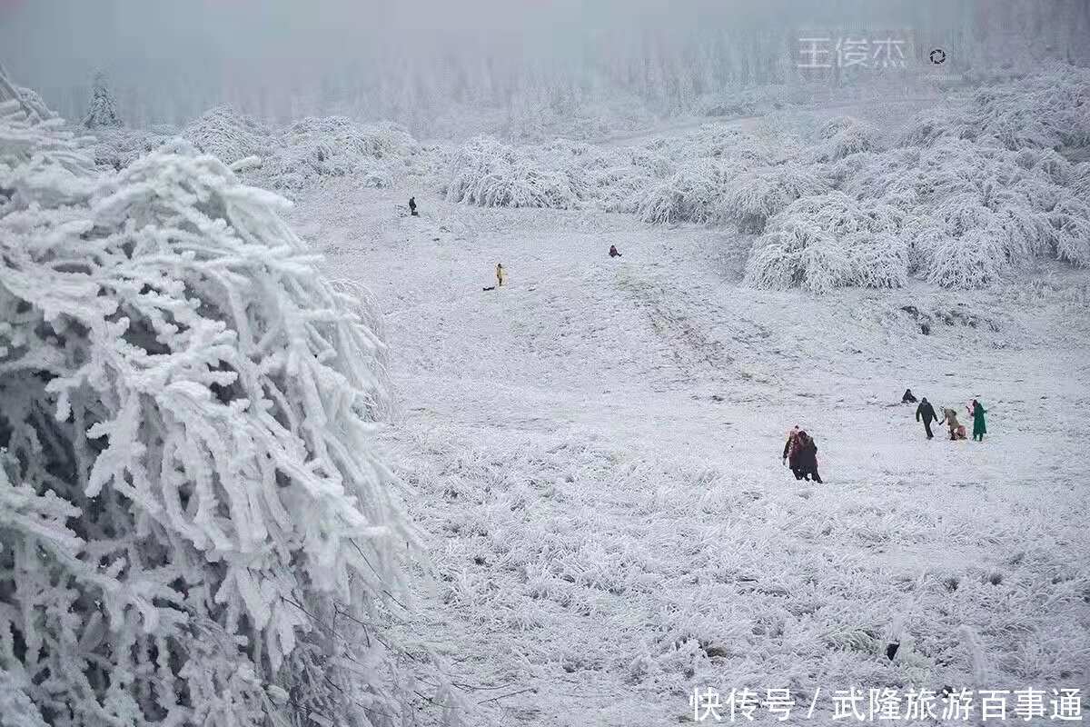 赏心悦目|雪色浪漫，美景养眼，素人美女镜头下的仙女山大片，赏心悦目