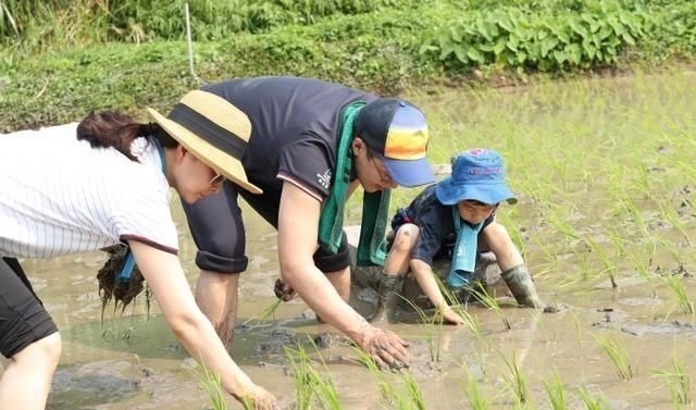 幼儿园|“穷孩子”从行为就能看出来，幼儿园老师直言：这几个特征藏不住