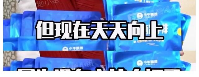 王一博退出《天天向上》,金星直言不讳,网友:高中学历考不了证