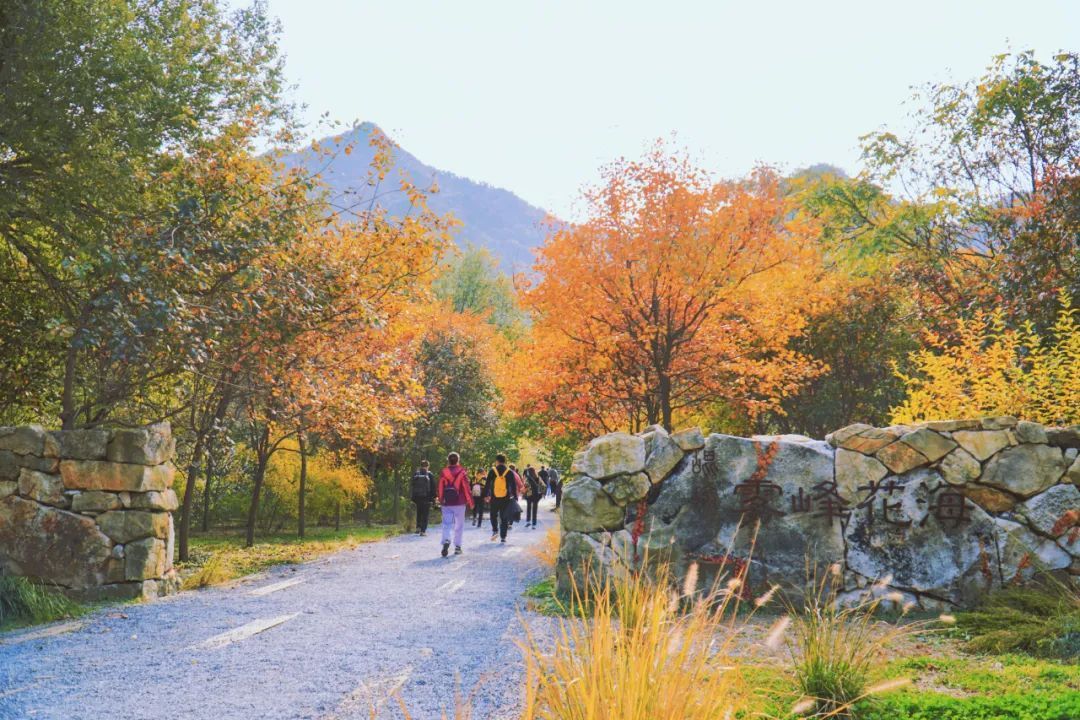 林尽染|号称“海上仙山之祖”的昆嵛山，深秋美得如此动人心魂！