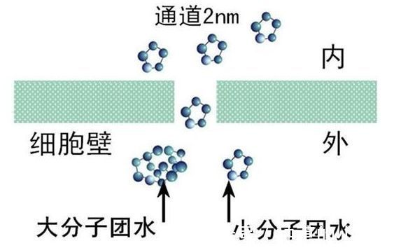 提取物|学生党平价洗面奶，夏季油皮护肤分享，5分钟直接get