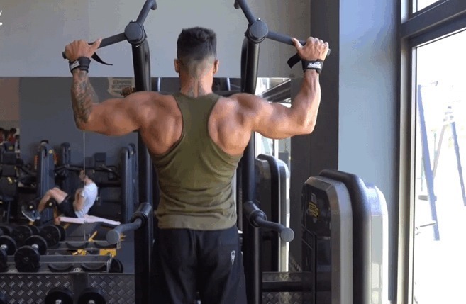 手臂|做不了引体向上,就不配拥有发达的背肌吗新手有更好的练背选择