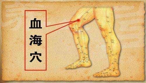 气血|健不健康根据腿就可以清楚，常揉3处，气血足，腿脚好