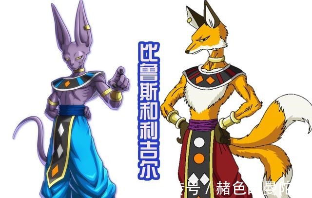 形态|龙珠超贝吉塔新形态很霸气,就是没有眉毛,很符合破坏神的外貌