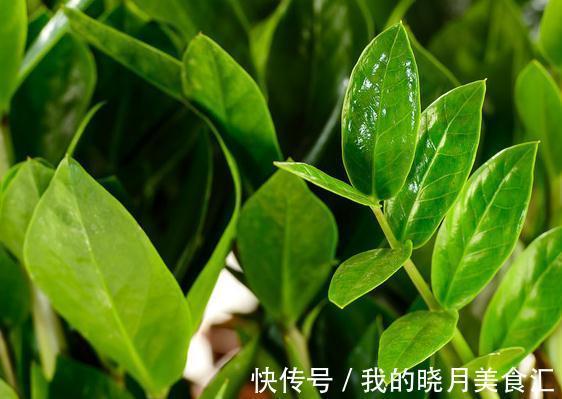 天冷了,浇花要注意哪些