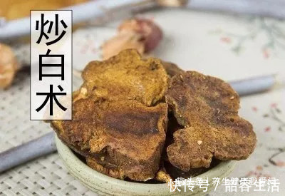 白术|“一味中药”泡水喝,就能从此远离脾胃虚弱,脾虚湿盛,脾胃阳虚