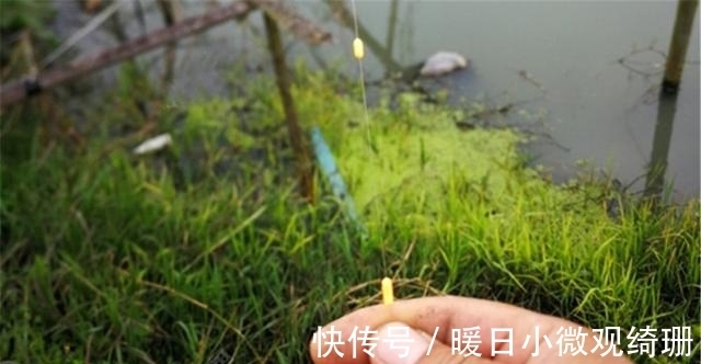 硬道理|七星漂的调漂技巧:差不多就行,不拘小节,毕竟上鱼上钩是硬道理