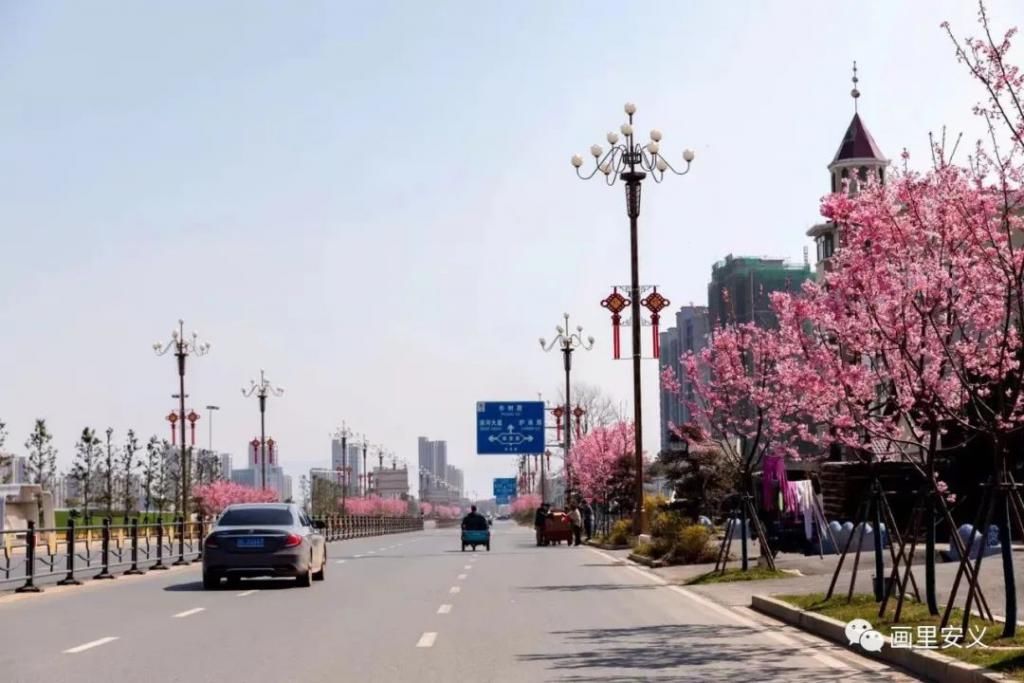 精华|太美了！近处风景！花样南昌……