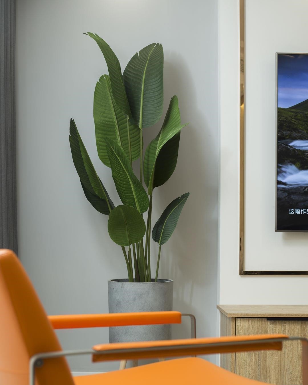 生活环境|一个充满温度的家,真的很美好!这对医护夫妻新家,太让人喜欢了