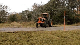 |搞笑GIF趣图:我究竟做错了什么,你要天天来盘我