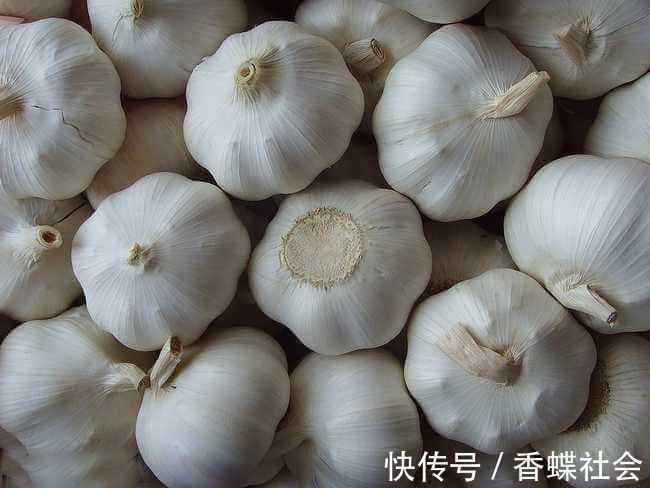 丝瓜|女性不想老,不妨多吃以下食物,提神醒脑,延缓衰老,美容养颜