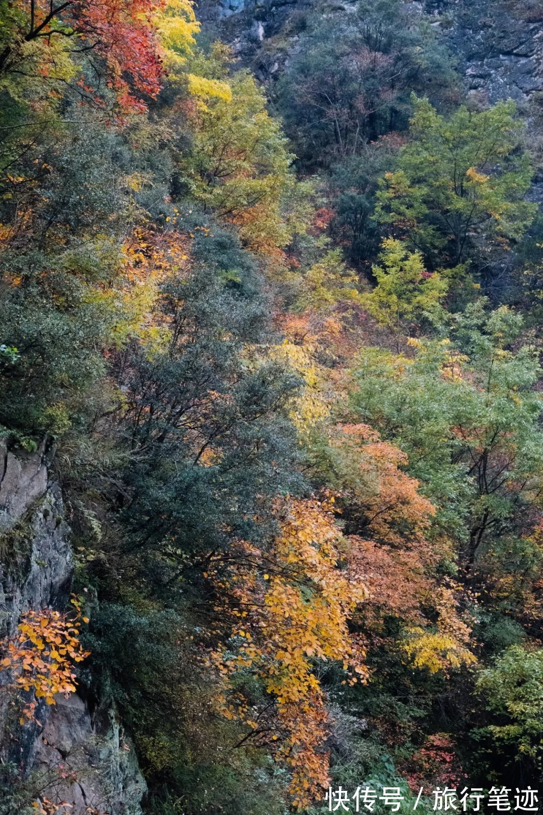 许家山|秘境徒步｜秦岭留坝深处这四条线路，惊艳了整个秋天