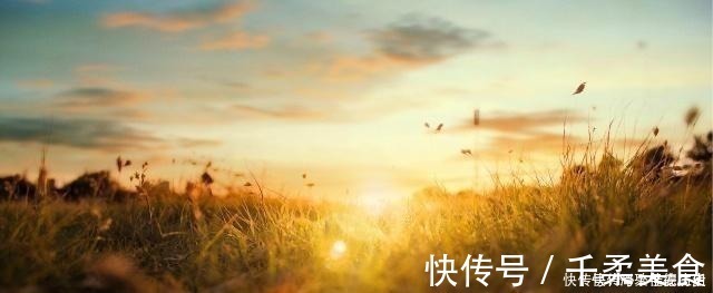 天下&天下第一骈文，全文773字包含40个成语，句句都是绝唱