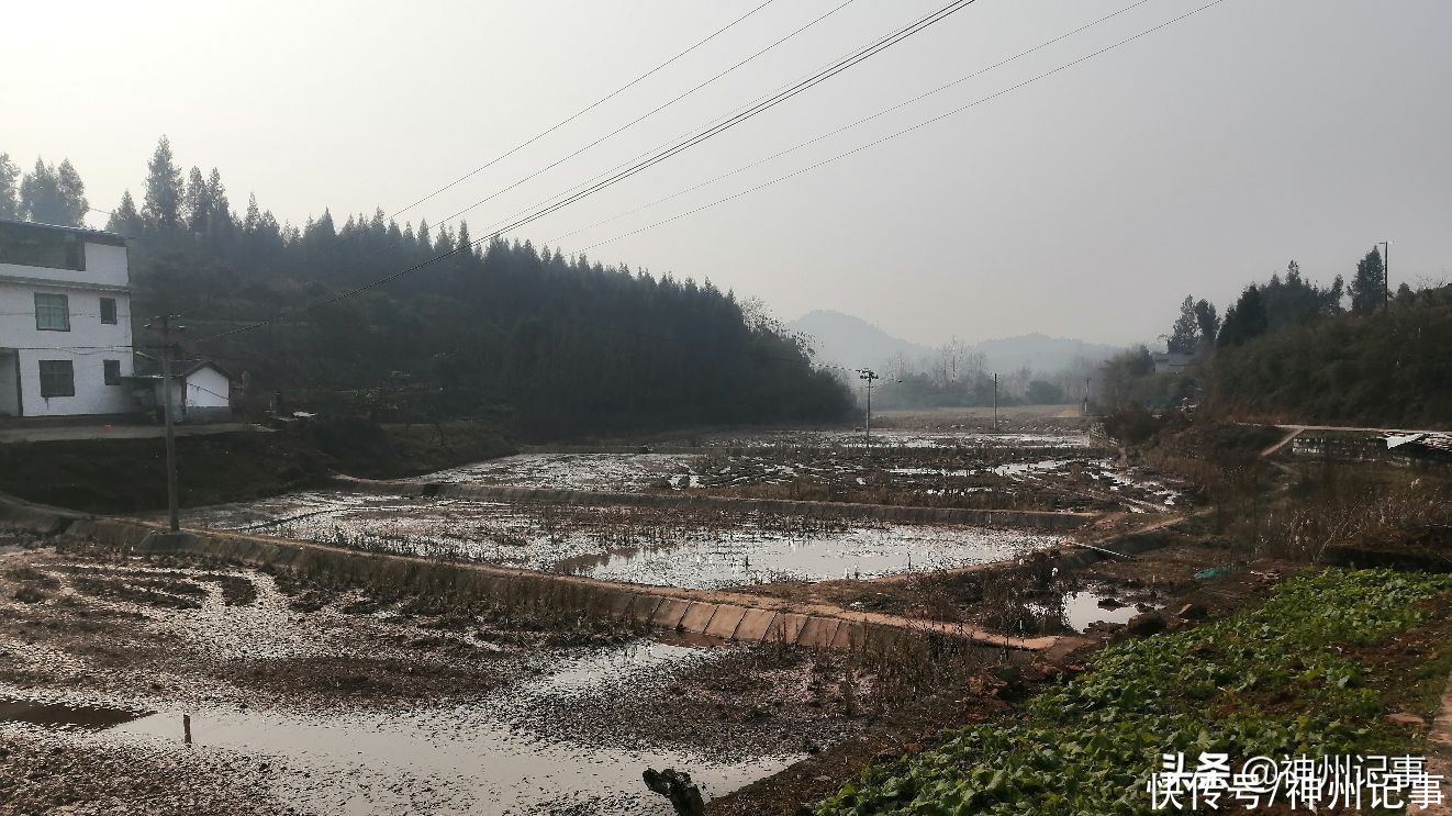 乡村冬闲田，一道靓丽的风景！